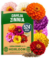 Home Grown Zinnia Dahlia Seeds seed pack 524 seeds for gardens