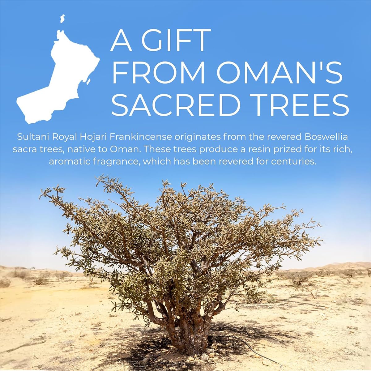 DIY decor and souvenir gift packaging frankincense resin