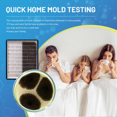 Mold testing kit for home surfaces