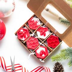 Merry & Bright scent pine juniper camphor sage wax melts 6 honeycombs