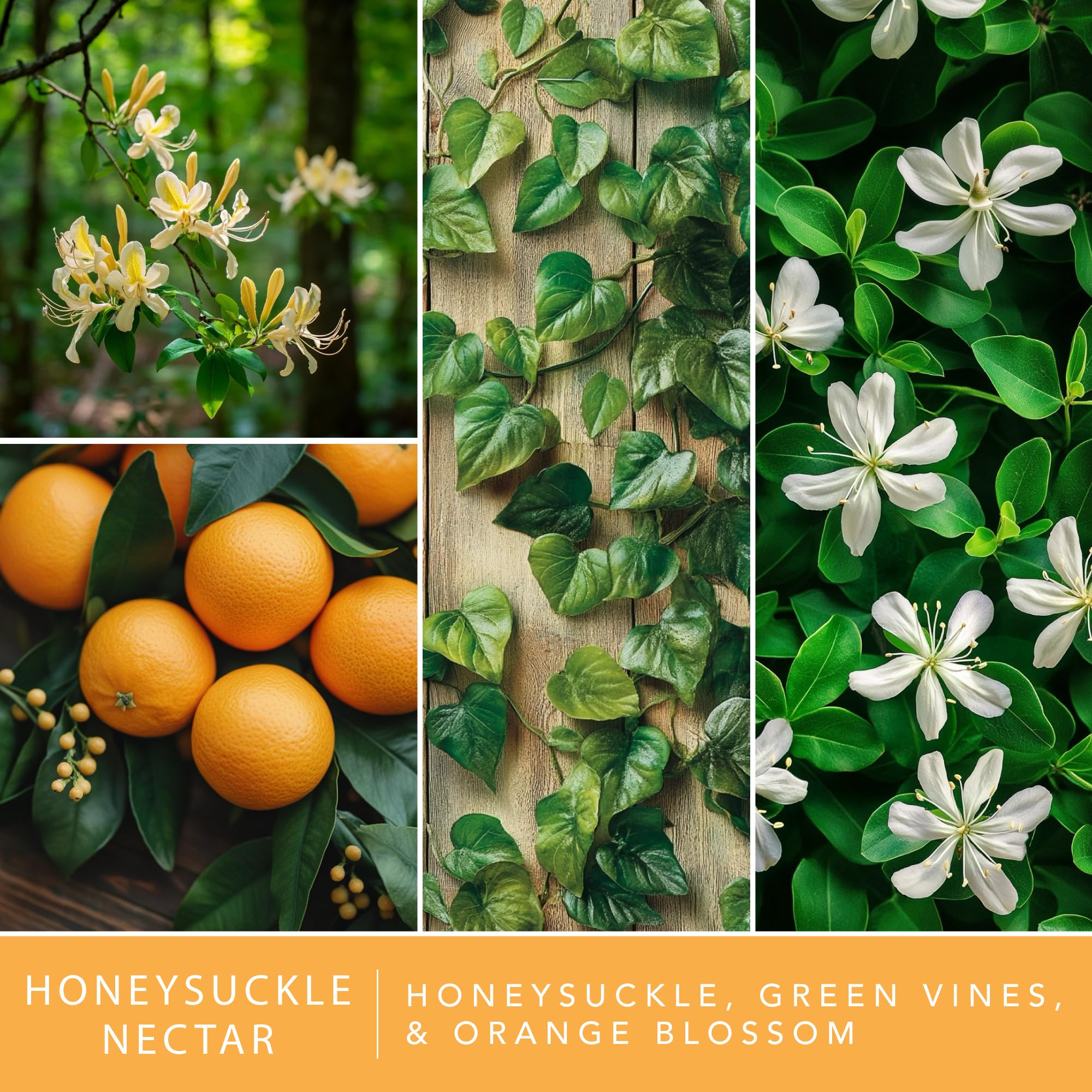 Honeysuckle nectar scent wax melts by ScentSationals
