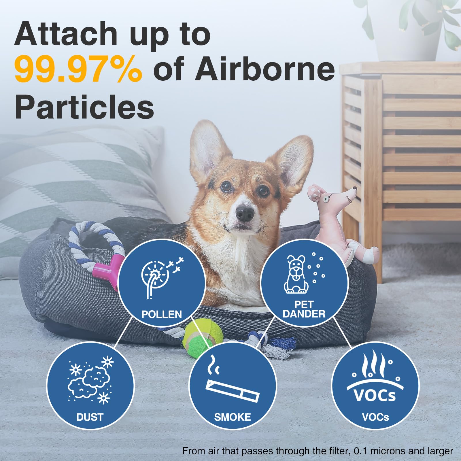 Six-pack HEPA R Filter Only no carbon pre-filters