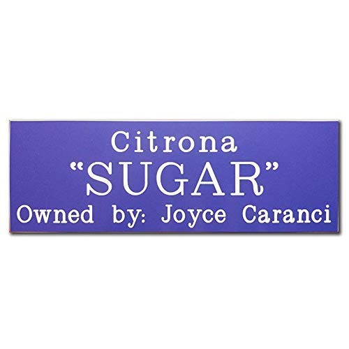 Horse stall sign 12x4 inches