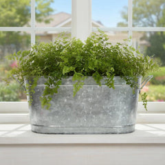 Iron oval planter 18 x 8.5 x 7 inches close up image
