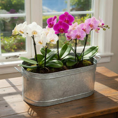 Hosley galvanized oval planter 18 inch long product image