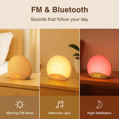 HOUSBAY clock with FM radio and Bluetooth speaker