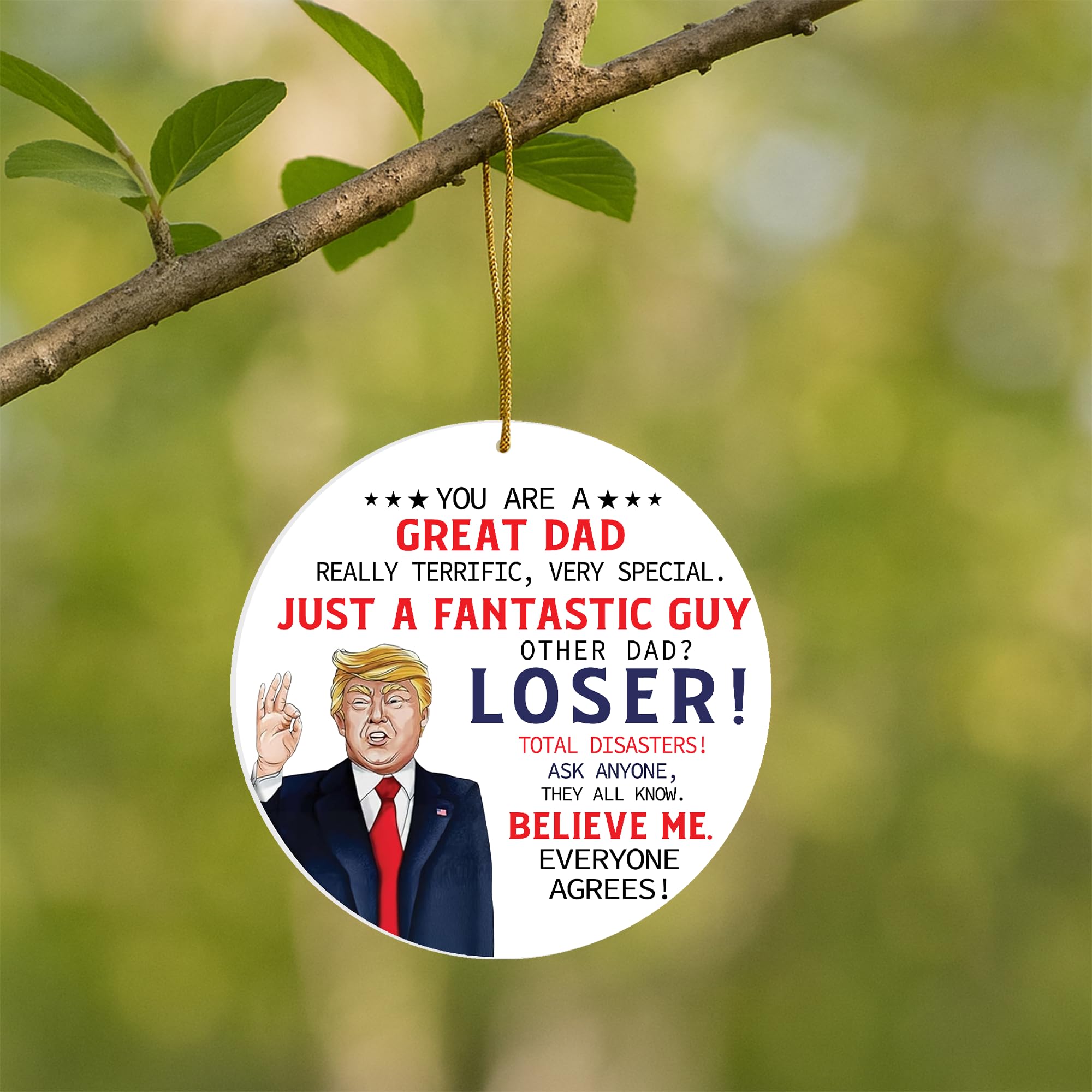 gifts for dad who wants nothing humorous ornament