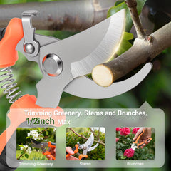 Rose pruning with Hungsual pruning shear on rose bushes