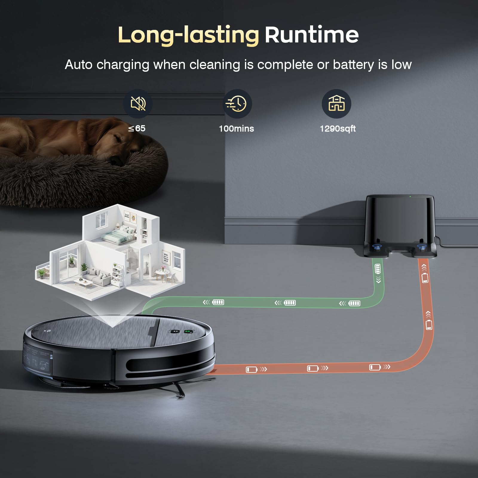 Pet friendly cleaning with robot vacuum image