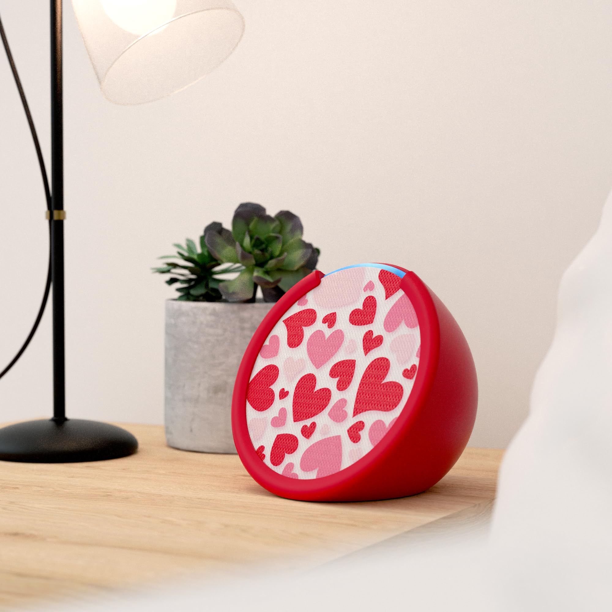 Accessory set includes sleeve and faceplate for Echo Pop