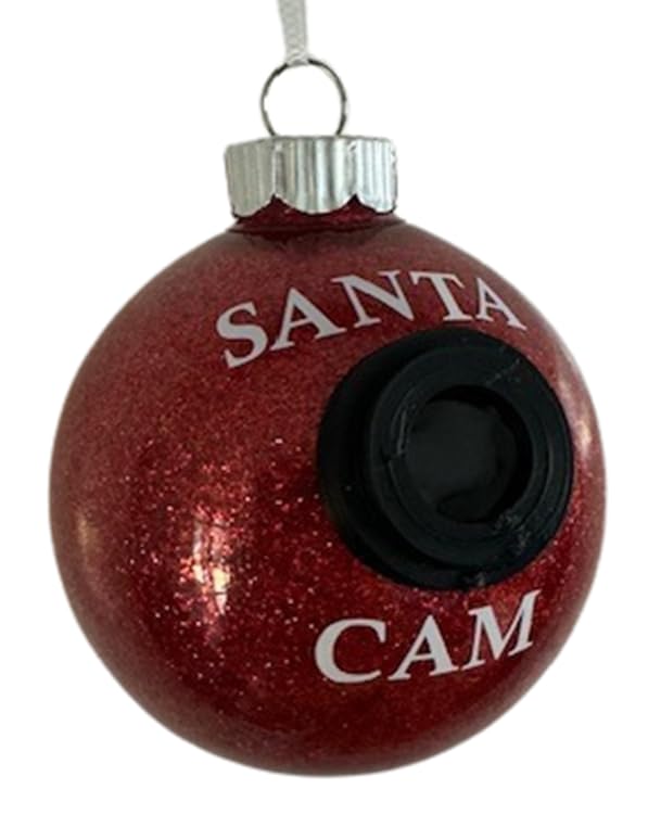 Handmade glitter Santa Cam ornament
