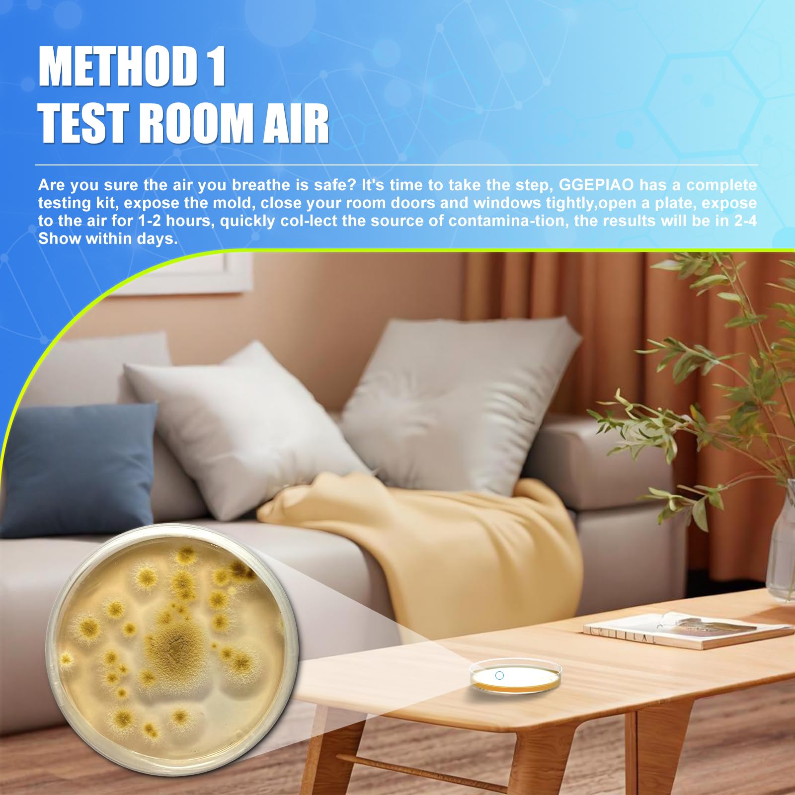 Indoor air quality mold test kit contents