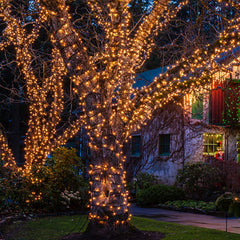 Indoor outdoor Christmas tree string lights set by HISHINY