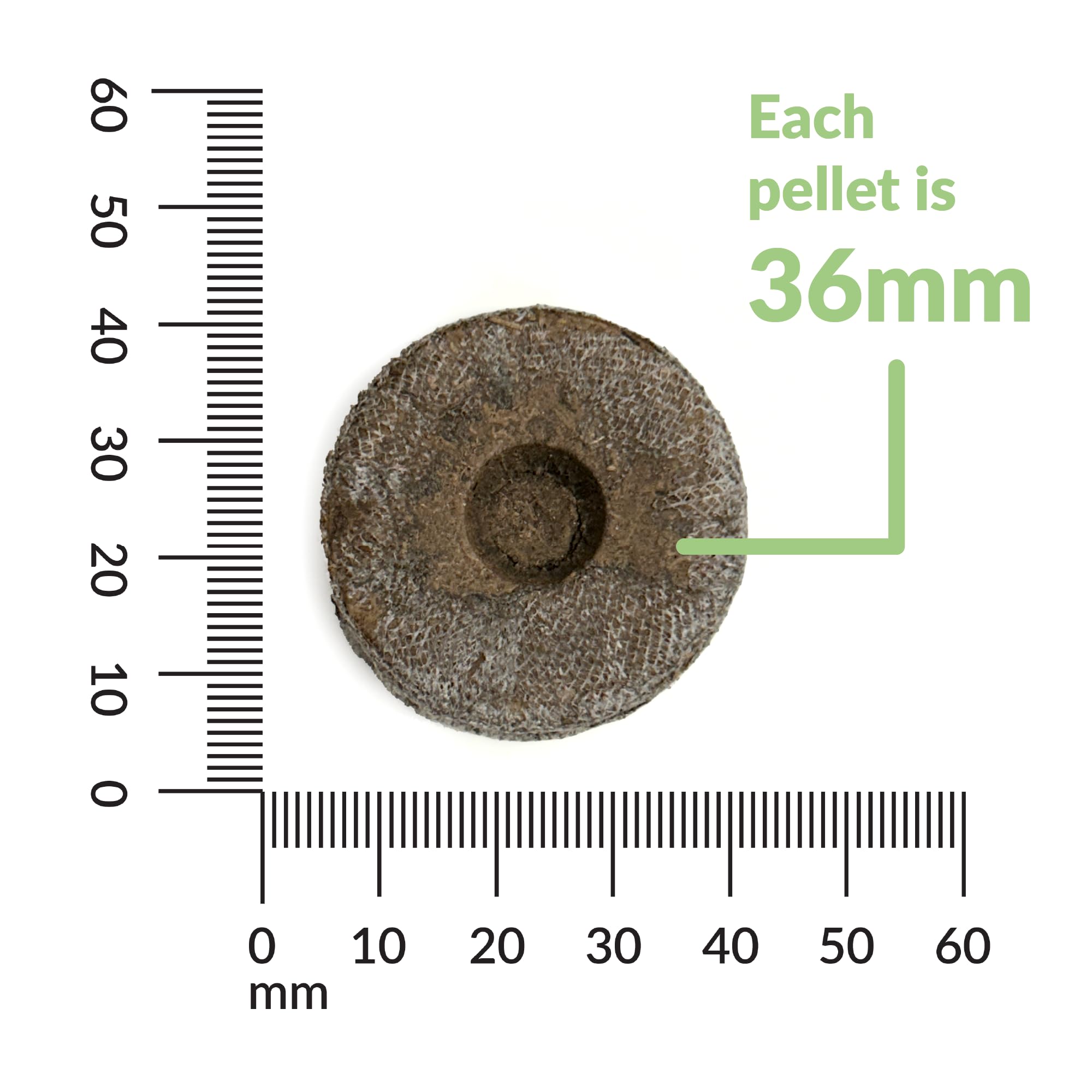 Indoor seed starter plugs with Jiffy peat soil pellets 36 mm