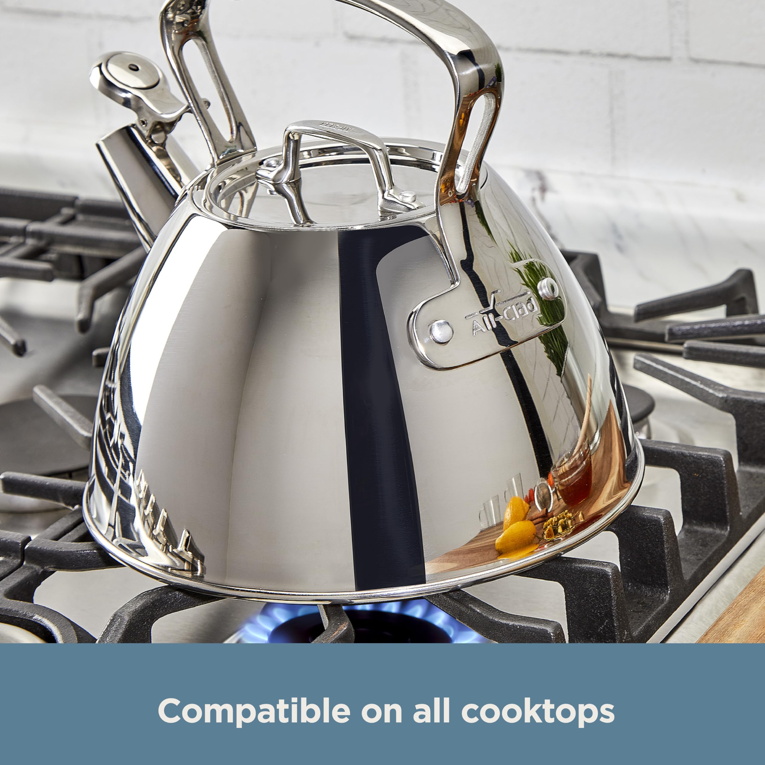 Dishwasher safe All-Clad tea kettle with polished finish