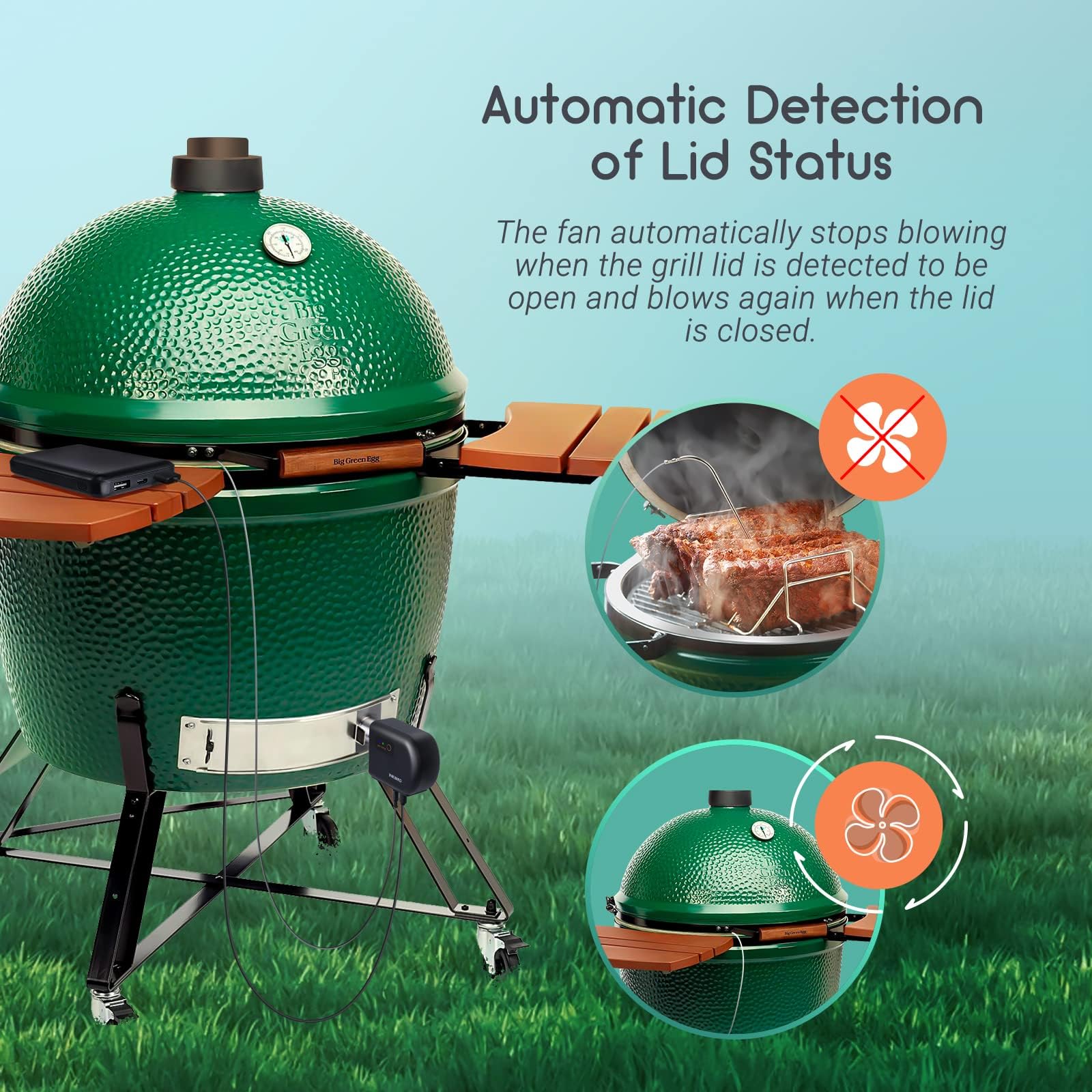 Inkbird ceramic smokers Kamado Vision Grill compatibility