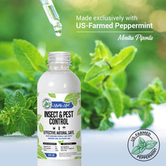 Natural peppermint oil spray for pests