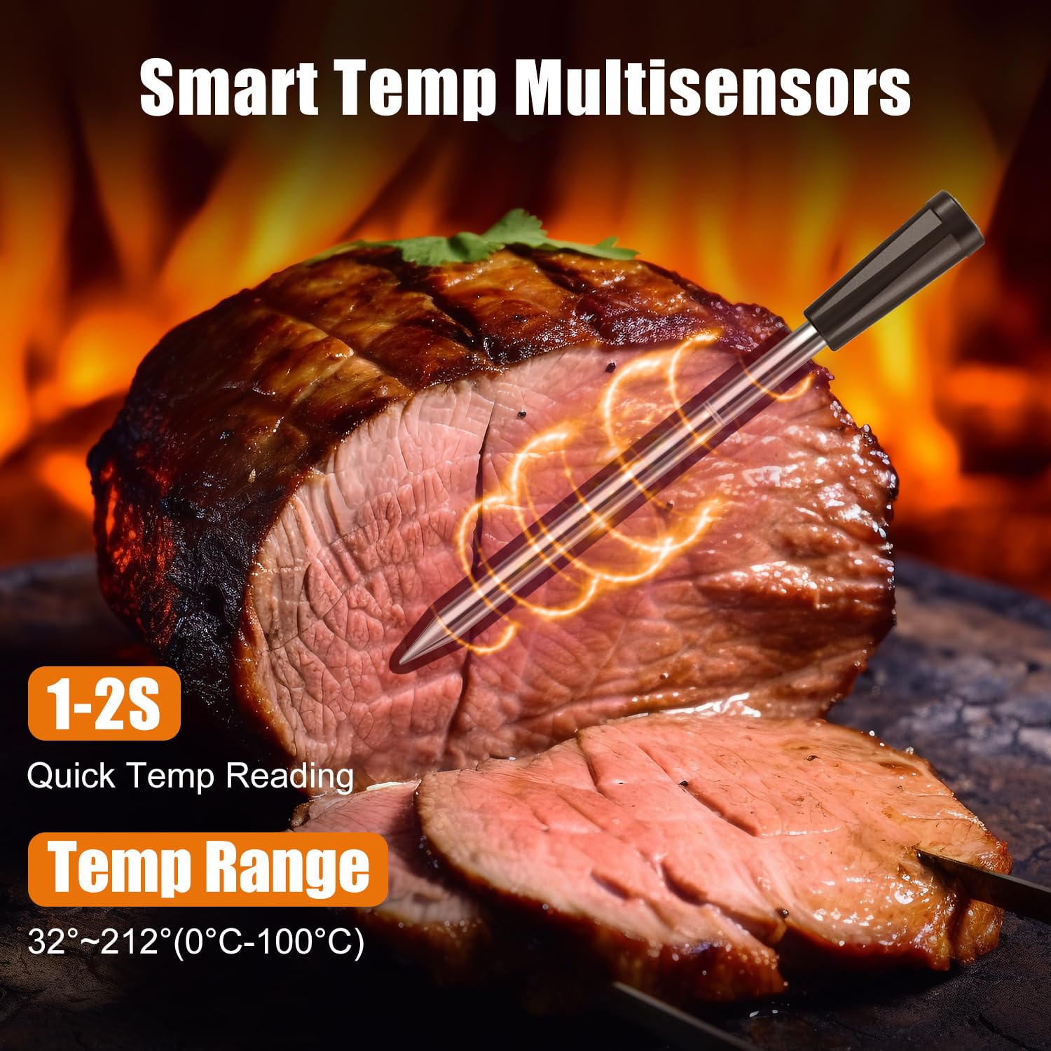 Beef steak measured with INSMART thermometer probe