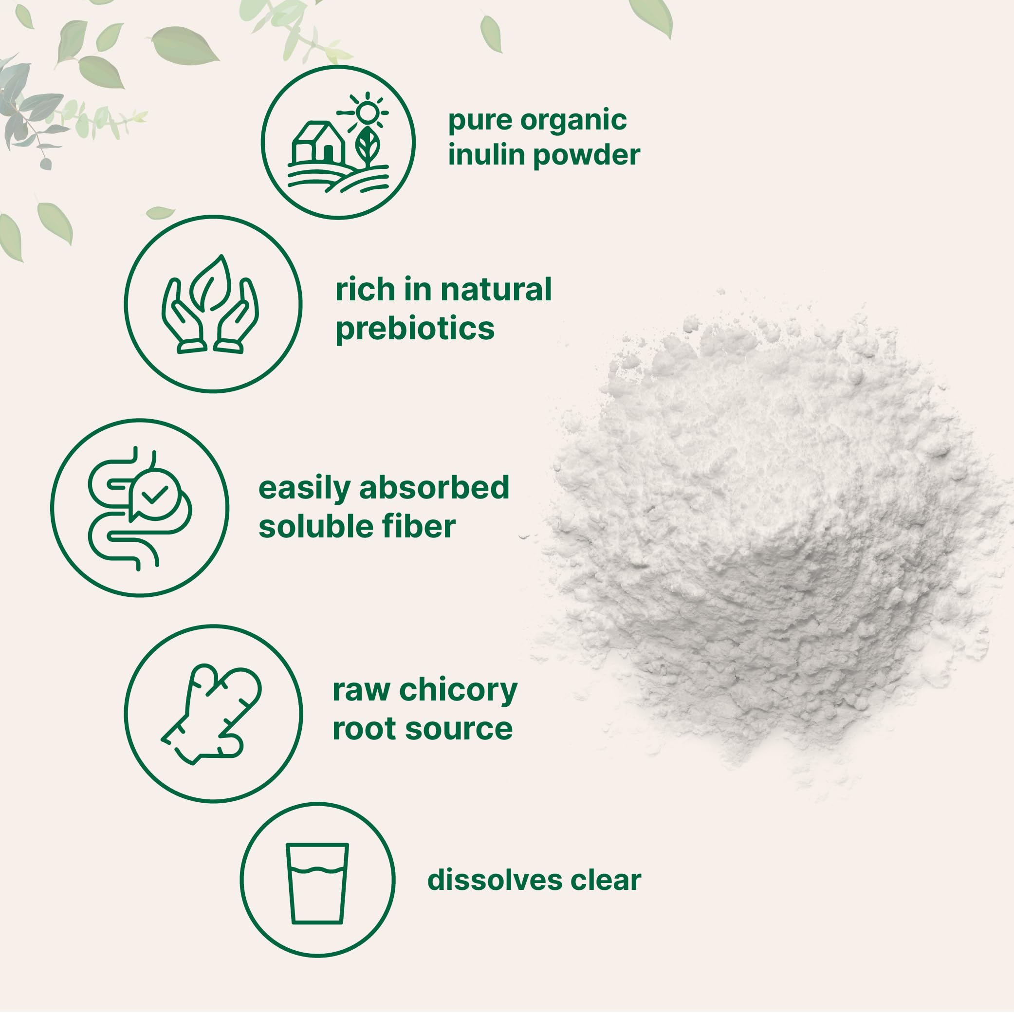 Non-GMO inulin supplement from chicory root