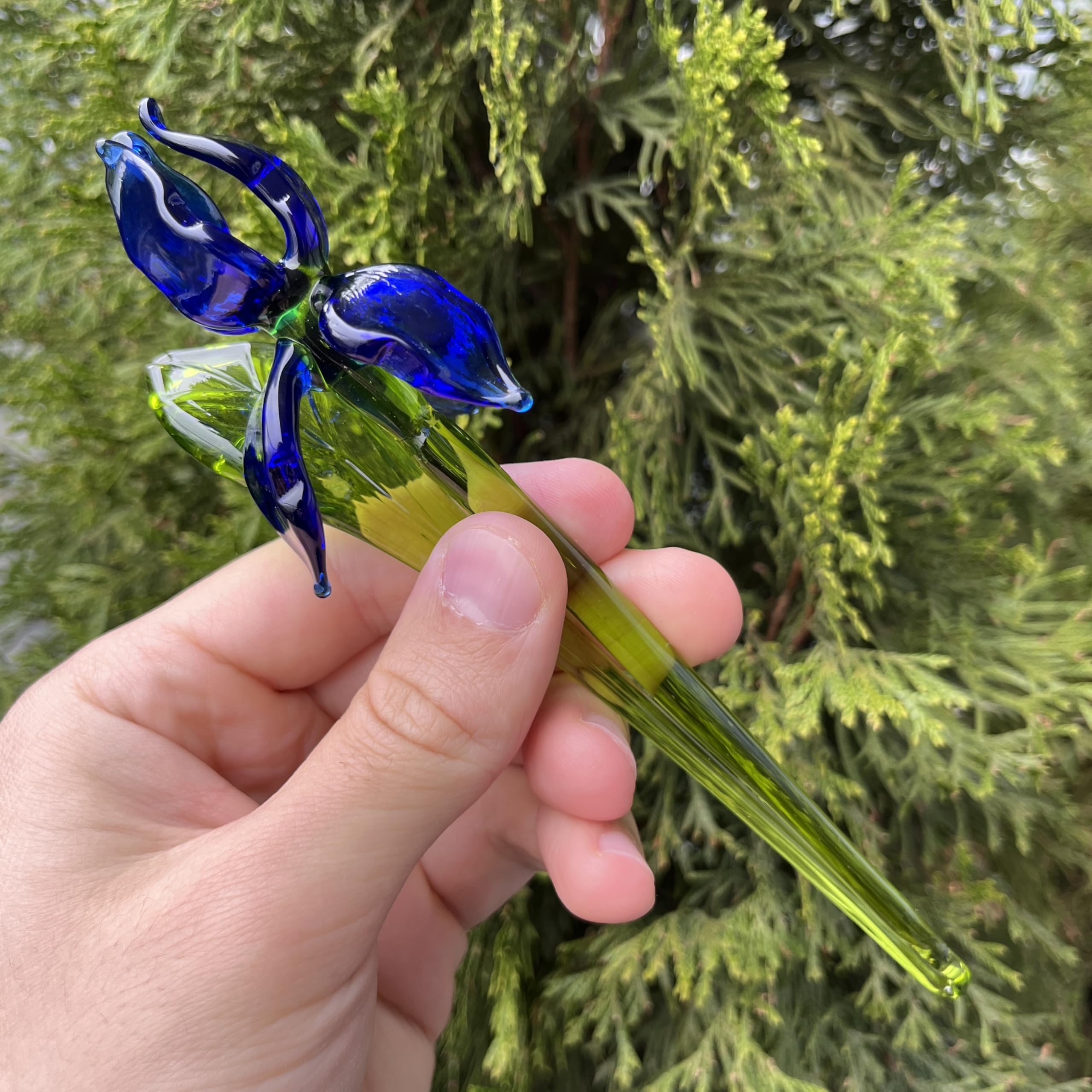 Compact 7 inch iris figurine for desk display