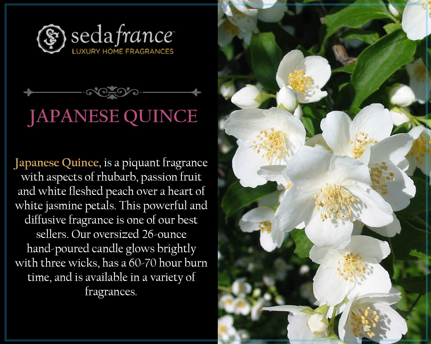 Seda France Japanese Quince 3 Wick Candle model