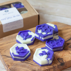 I Put a Spell on You wax melts scent black violet saffron