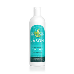 Jason Tea Tree Shampoo 12 oz bottle