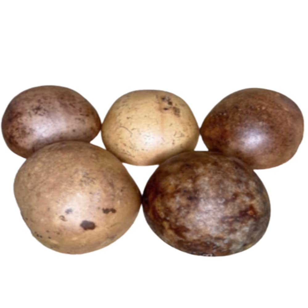 Jícara para ofrendas y rituales 1 unidad Brown