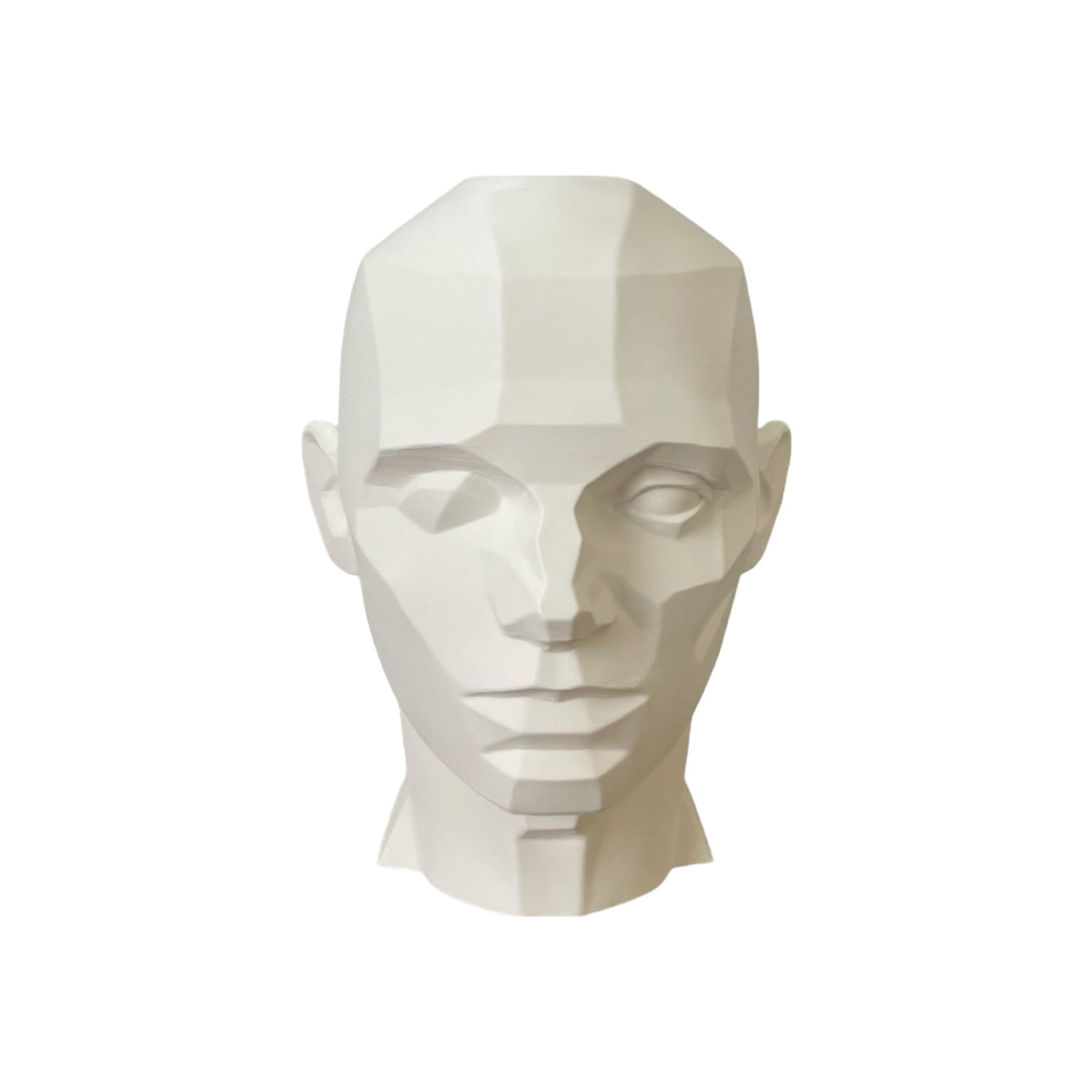 John Asaro Style Planar Head XL White 10 inch planar bust drawing model