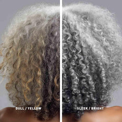Red Raspberry Seed oil formula gray hair conditioner