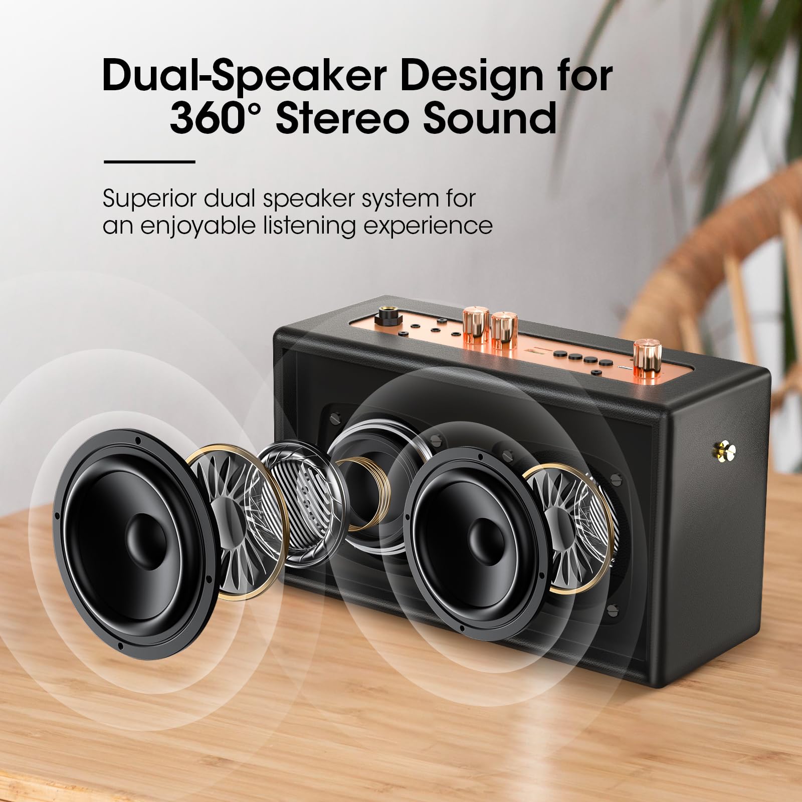 Karaoke Machine with two wireless microphones included