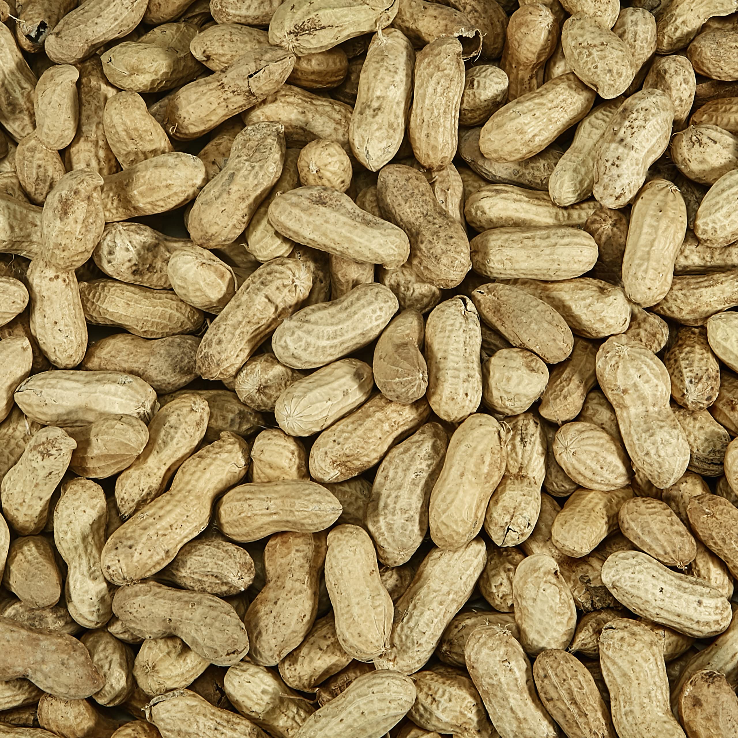 Ideal for cardinals woodpeckers and blue jays Kaytee peanuts