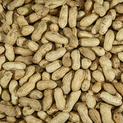 Ideal for cardinals woodpeckers and blue jays Kaytee peanuts