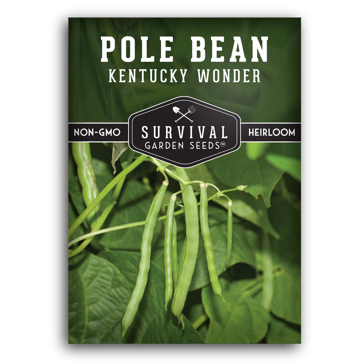 Kentucky Wonder pole bean seeds packaging