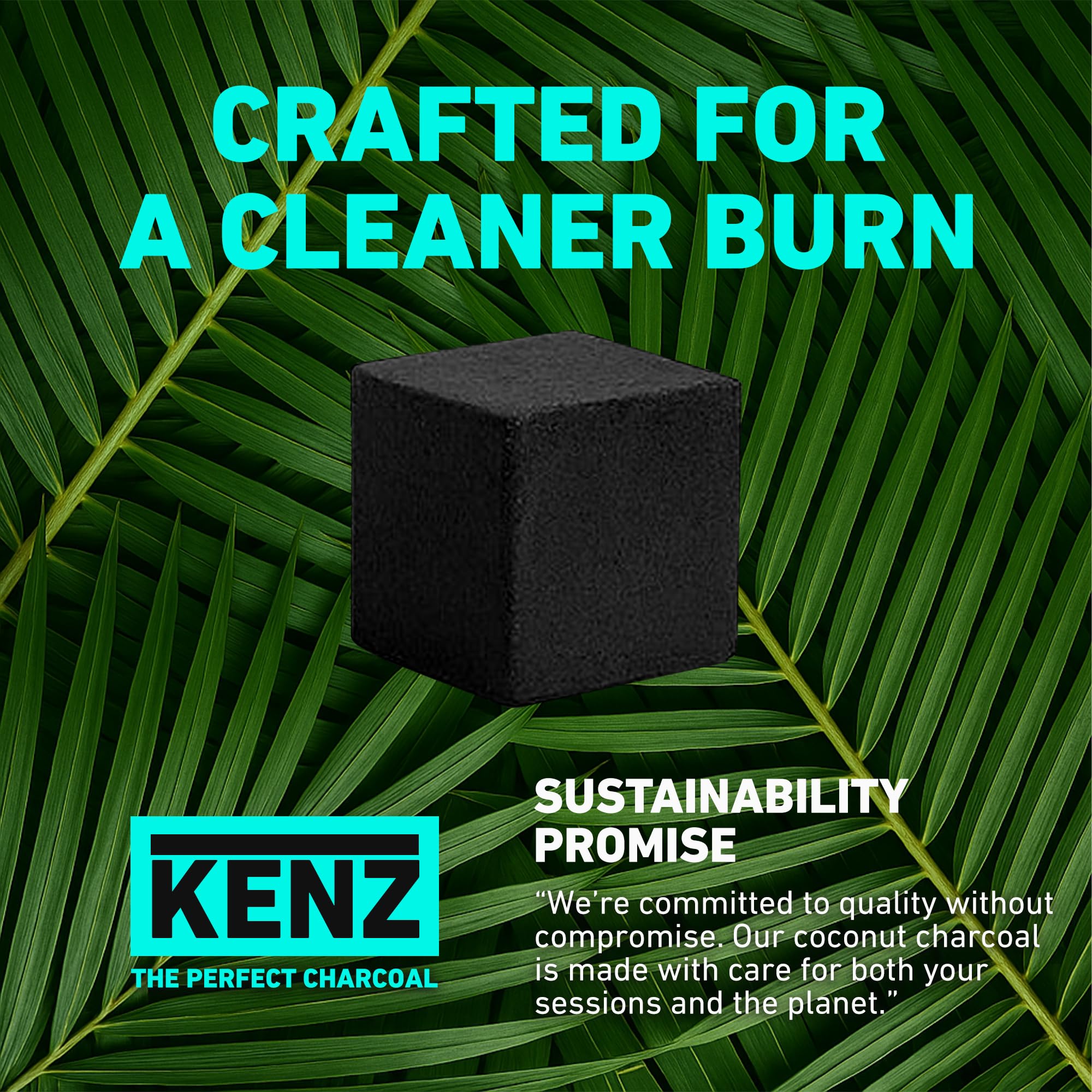 KENZ coconut charcoal cubes 72pcs pack product image