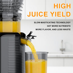 Close up of high torque motor on KIAMITH 300W juicer