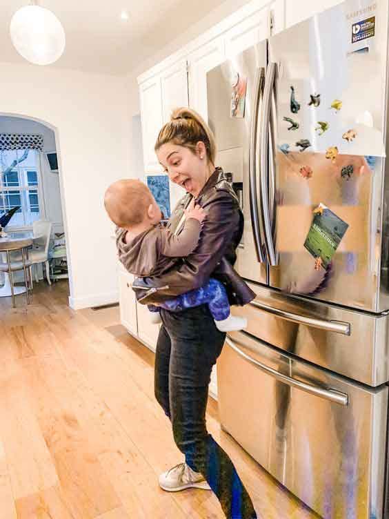 dinosaur magnets for kitchen display