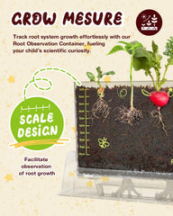 Kidney Bean seed variety in kit