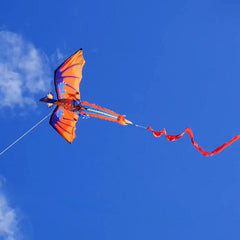Kids and adults dragon kite by HENGDA KITE