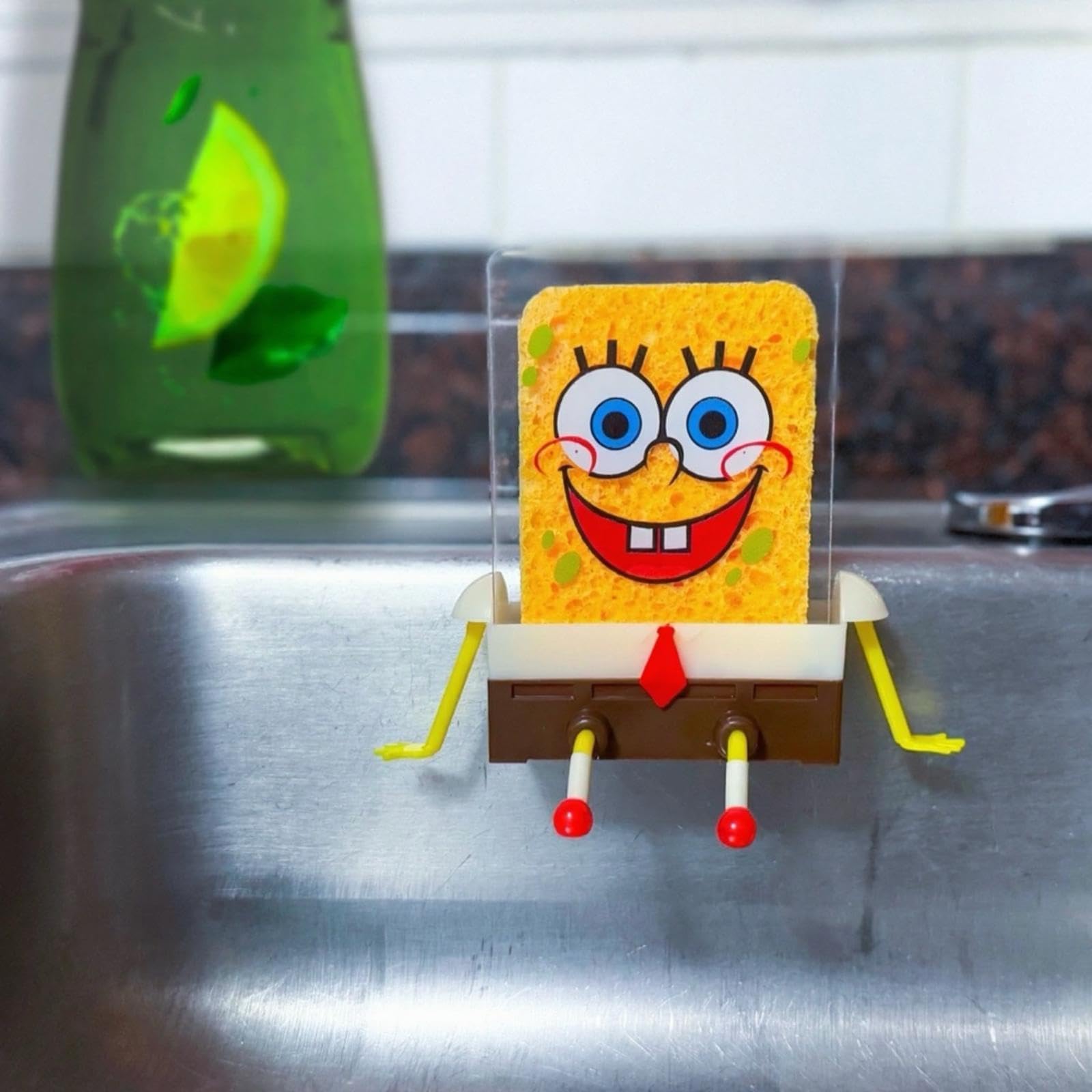 Sponge holder with acrylic sheet and organized sponges