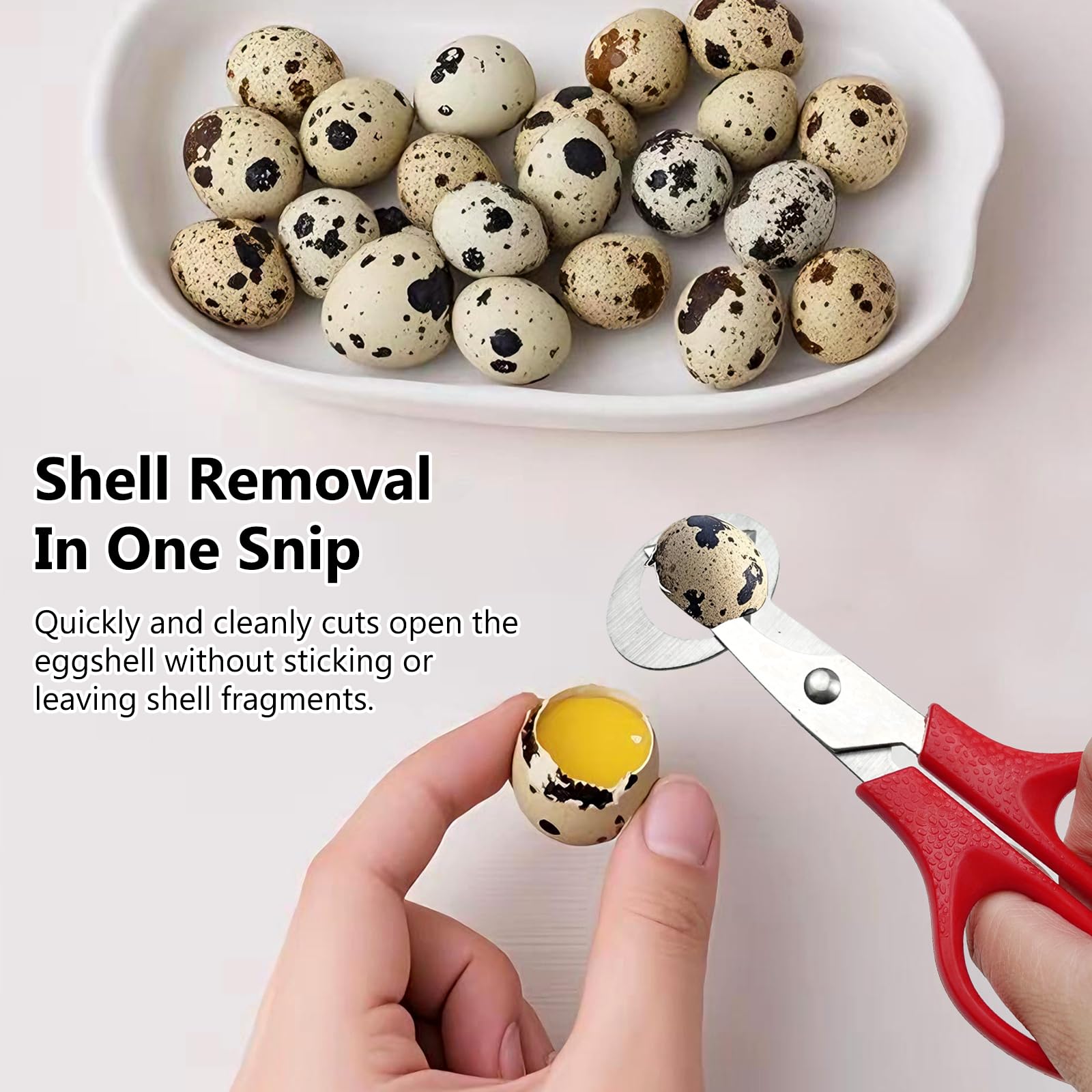 Stainless steel quail egg cutter scissors with green handle