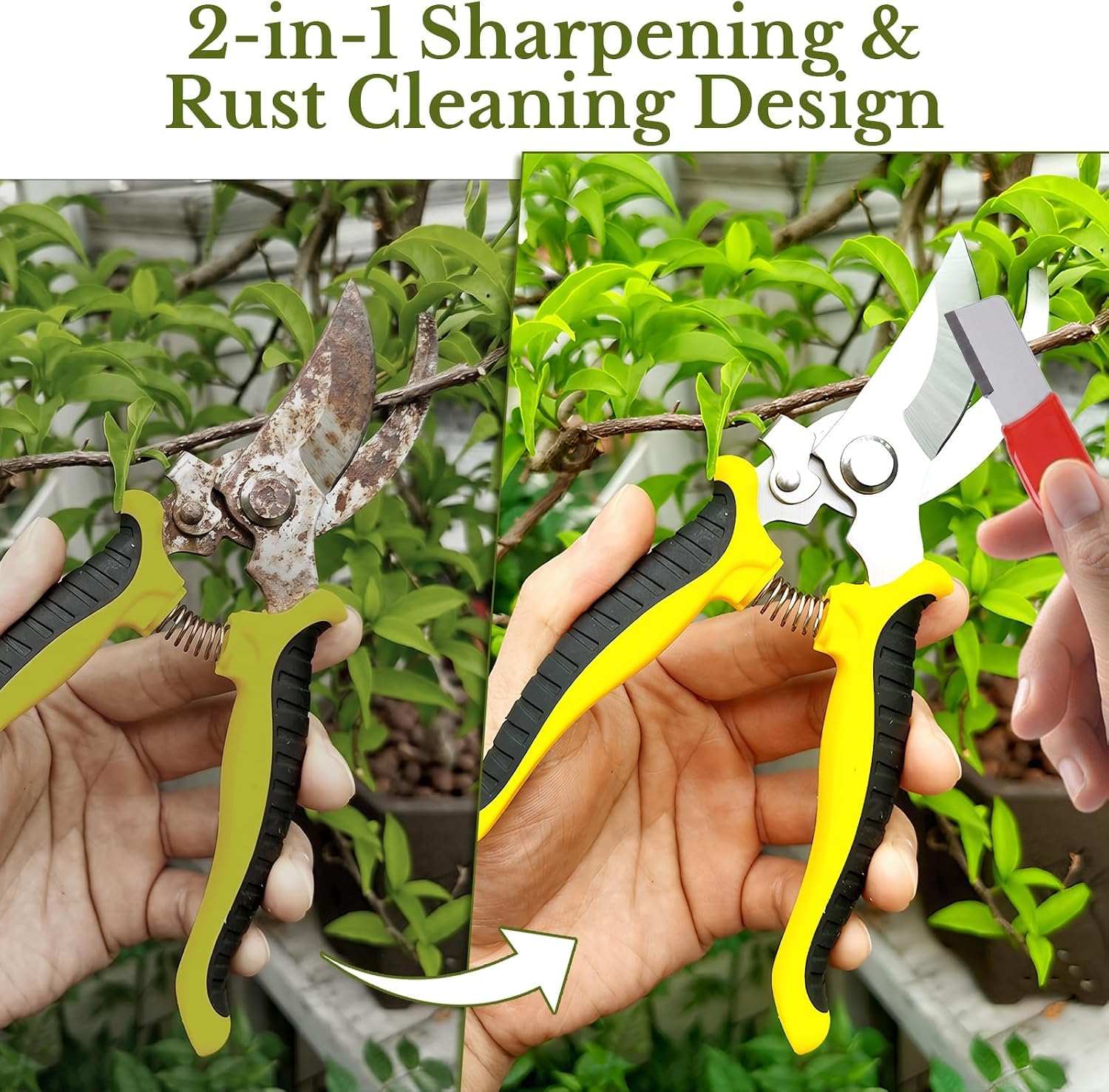 compact handheld sharpener design illustration