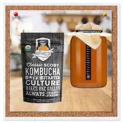 1-Gallon glass fermenting jar for kombucha kit