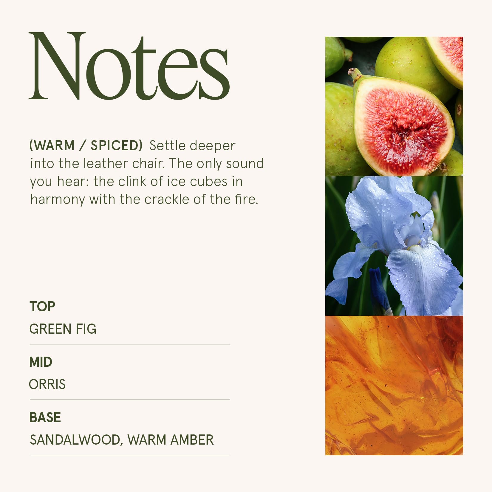 Santal Himalayan fragrance notes sandalwood amber musk fig jasmine