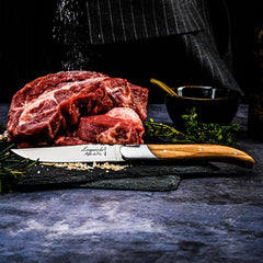 Plain edge blades Laguiole Style de Vie steak knives