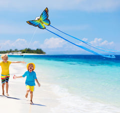 210T ripstop polyester fabric used in Lanrui butterfly kites