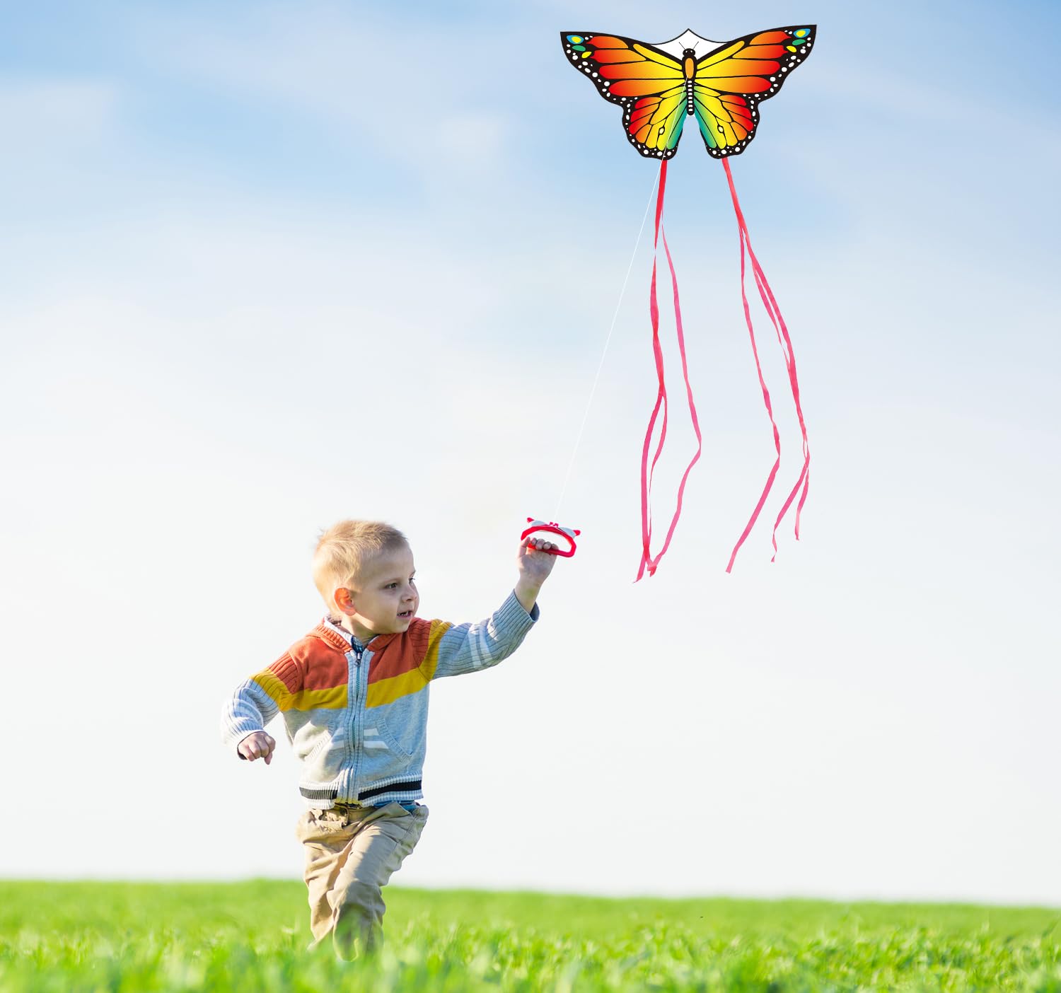 UV resistant printing on Lanrui butterfly kite