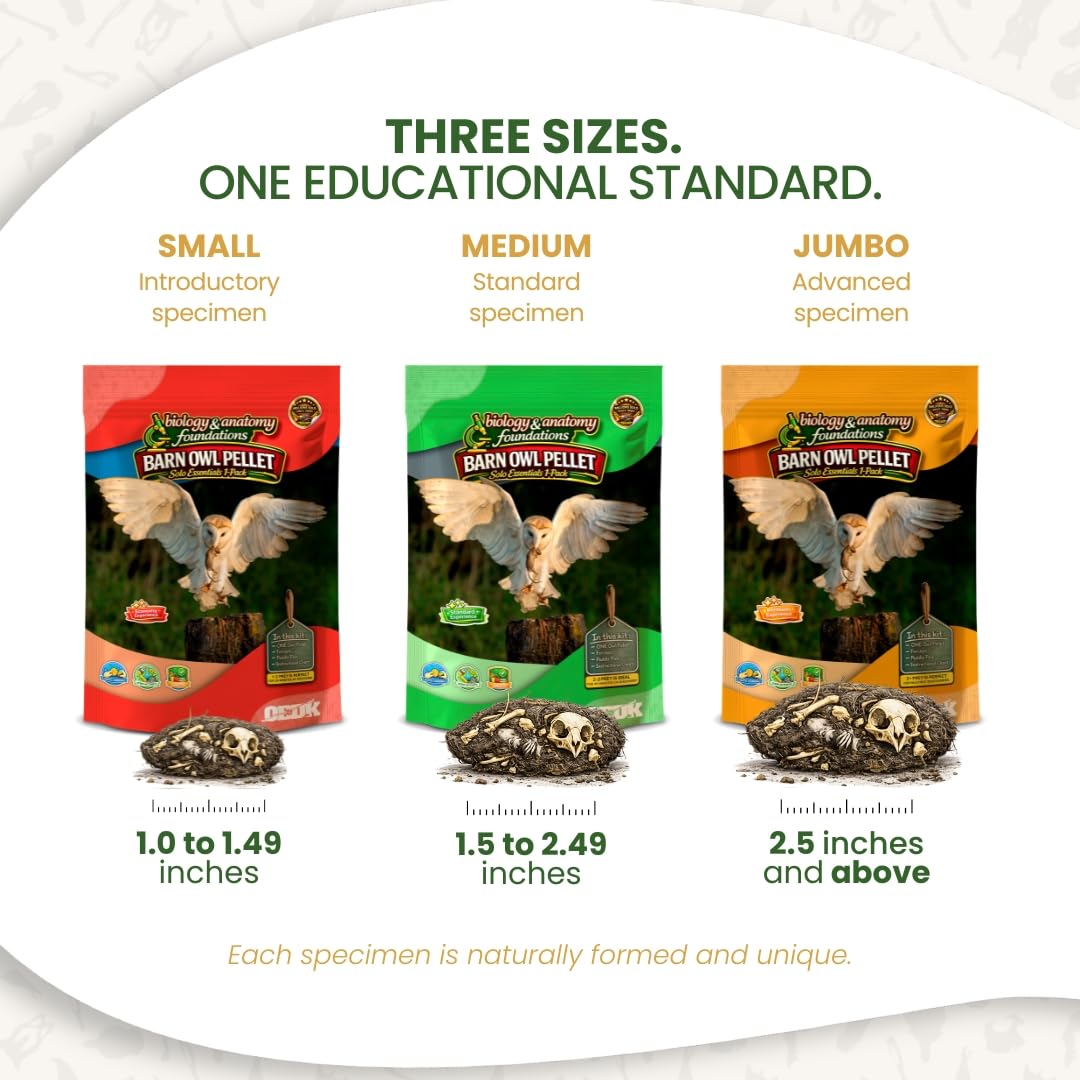 Heat treated classroom pellets image