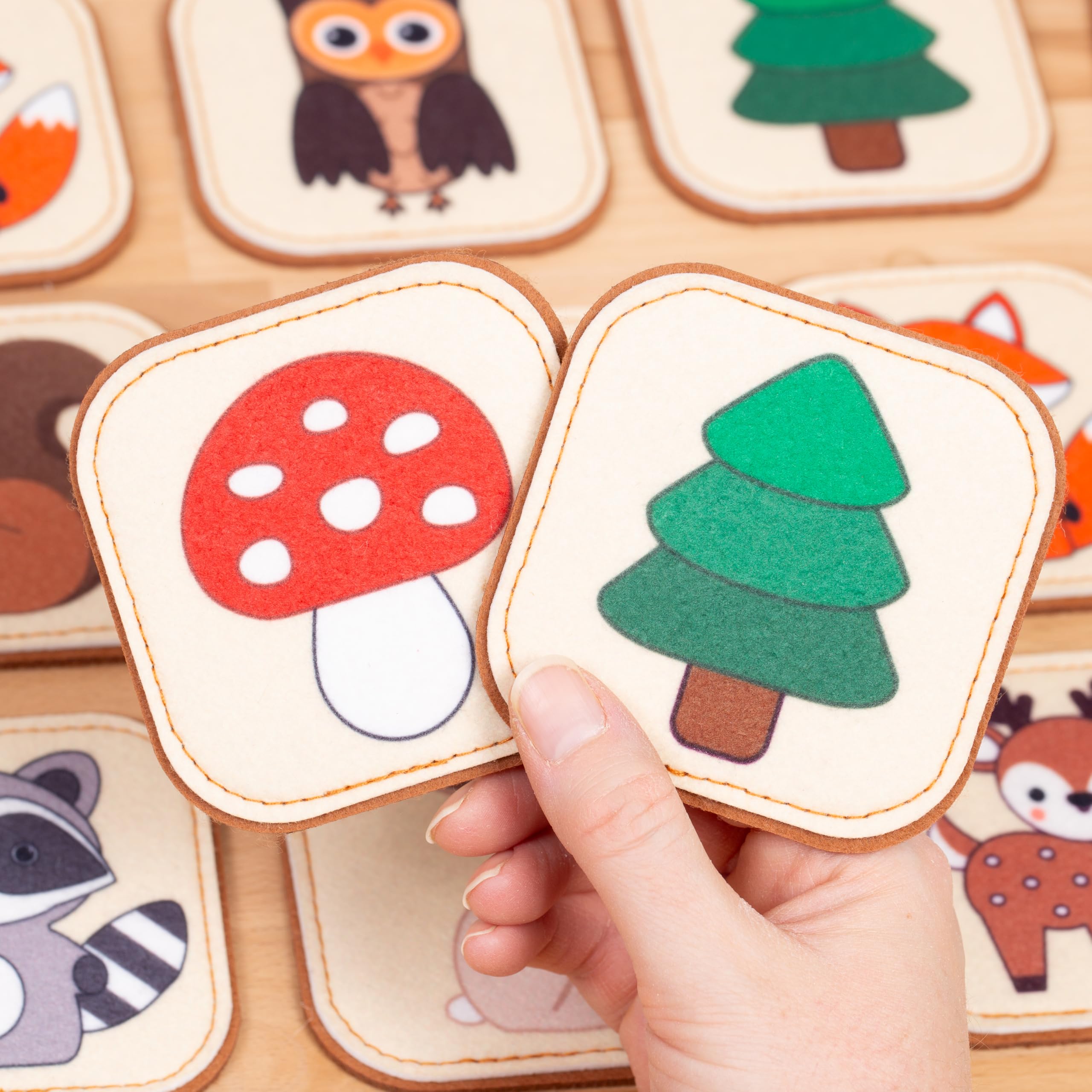 Montessori inspired sensory friendly memory cards