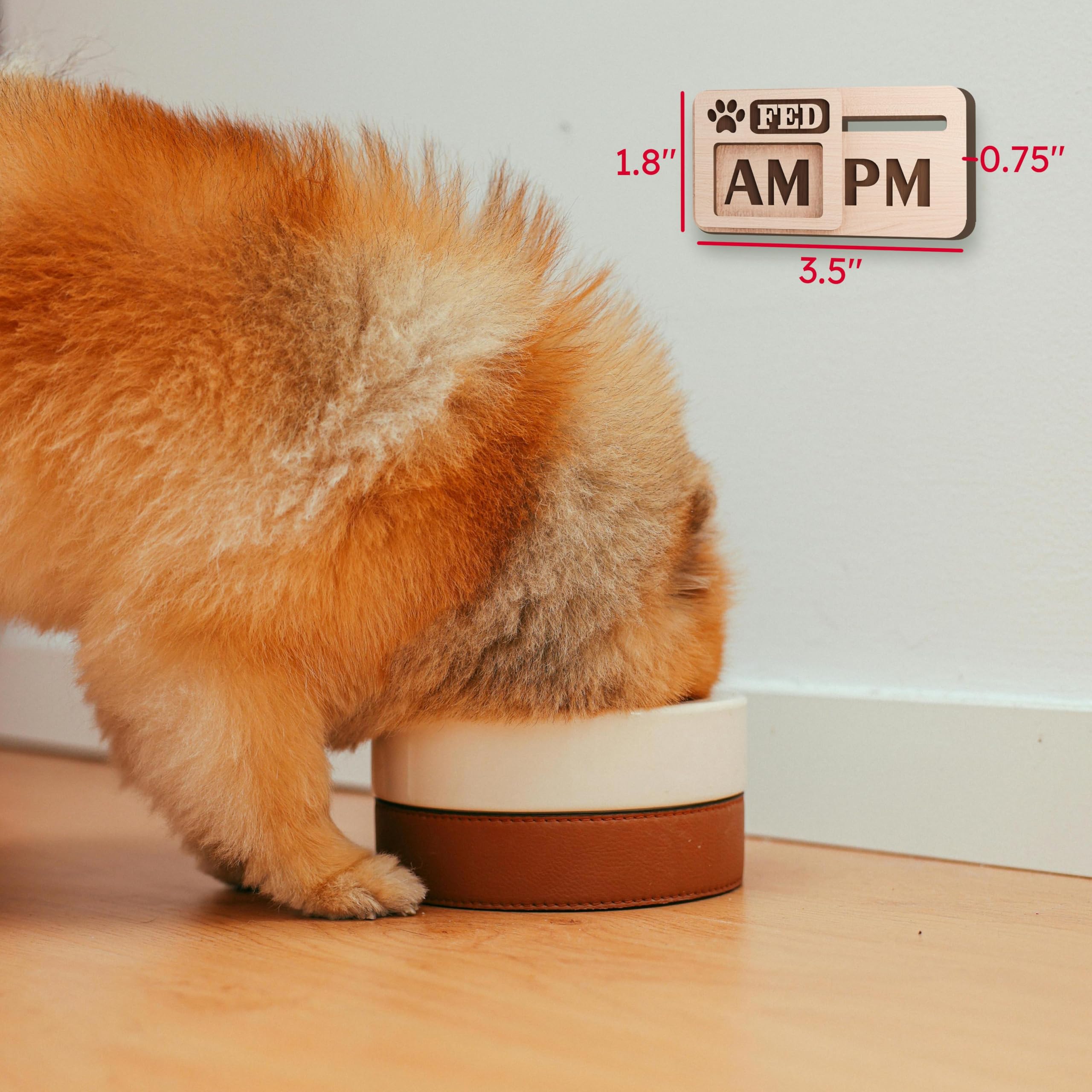 compact-ezslide-tracker beside pet feeding bowls